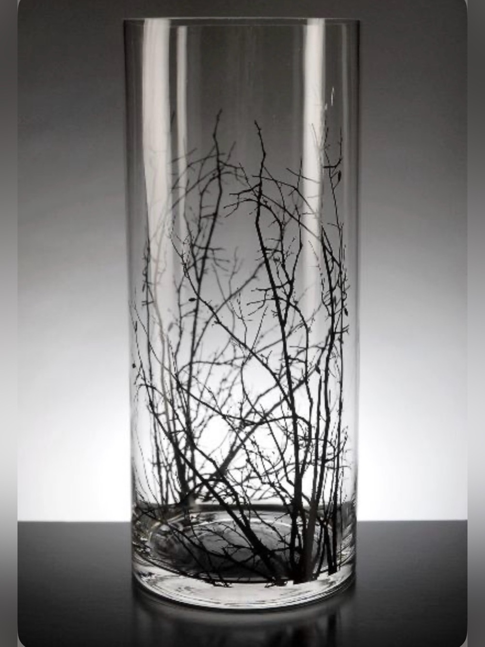 Glass Vase 6” x 14.5” with Black Branches